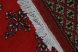 Mauri kézi csomózású gyapjú perzsa szőnyeg 220x297cm