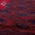 Afgán szőnyeg bordó Ersari 252x346 kézi csomózású keleti szőnyeg