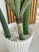 Műnövény Amazon Óriás Dús 160cm magas pálma 3db-os váza nélkül