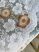 Függöny méterben prémium Jacquard barna pipacsos 180cm magas fehér