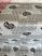   Dorsia új kész Viaszos asztalterítő szürke szíves 100x140cm