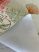   Dorsia új kész Viaszos asztalterítő zöld kagylós pálma 100x140cm