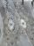 Exkluzív Barokk Kész Bolero 77 függöny törtfehér krém bársony anyaggal  280x250cm