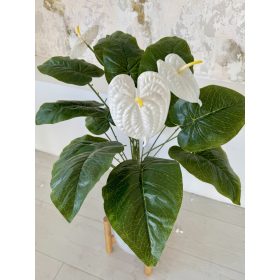 Műnövény Flamingóvirág Zöld Fehér 60cm Váza nélkül