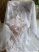 Penelope készre varrt függöny margarétás white 300x180cm