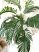 Műnövény Trópusi 74 Zöld 120-115cm magas dús