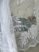     Malaga Kész függöny fehér nagy pálmás 300x160cm
