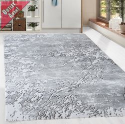 Zara Art 2853 (Grey-L.Grey) szőnyeg 200x290cm Szürke